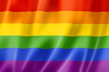 LGBT+ Pride Flag